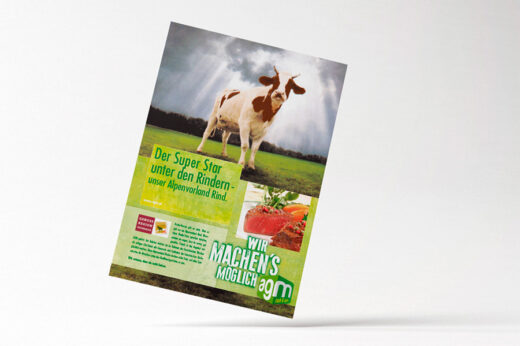 AGM Cash and Carry Market